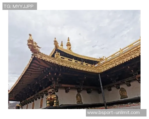 探秘曹县姚明山的自然风光与人文历史之旅